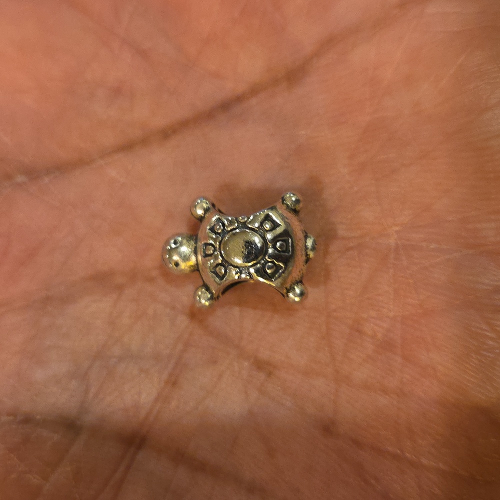 Silver Turtle Charm